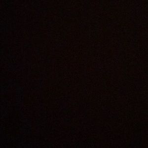 Meet your Posher, Shelby